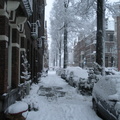snow 21